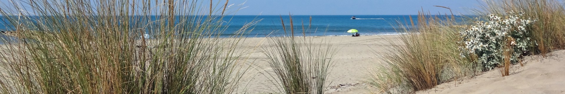 Stranden van Zeeland