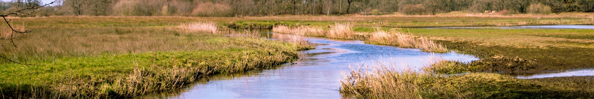 Norden der Niederlande